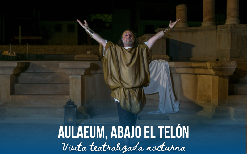 aula